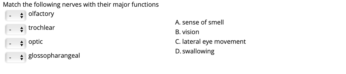 Match the following nerves with their major functions
olfactory
A. sense of smell
trochlear
B. vision
+ optic
C. lateral eye movement
D. swallowing
+ glossopharangeal
