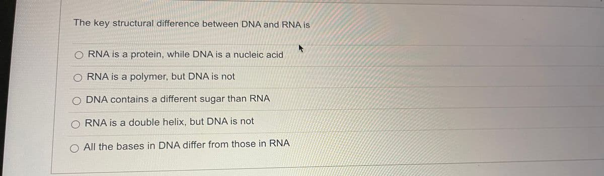 The key structural difference between DNA and RNA is
O RNA is a protein, while DNA is a nucleic acid
O RNA is a polymer, but DNA is not
DNA contains a different sugar than RNA
O RNA is a double helix, but DNA is not
All the bases in DNA differ from those in RNA