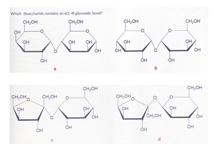 Which disaccharide contains an a(1-4) glycosidic bond?
CH,OH
CH2OH
CH,OH
CH2OH
он
OH
OH
OH
он
OH
он
ÓH
он
Он
CH,OH
CH,OH
CH,OHO
CH,OH
CH,OH,
CH;OHO.
OH
он,
он
он
CH,OH
Он
OH
ÓH
