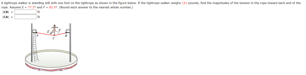 A tightrope walker is standing still with one foot on the tightrope as shown in the figure below. If the tightrope walker weighs 121 pounds, find the magnitudes of the tension in the rope toward each end of the
rope. Assume E = 77.5° and F = 82.5°. (Round each answer to the nearest whole number.)
|CB|
Ib
|CA| =
Ib
E
F
A
B

