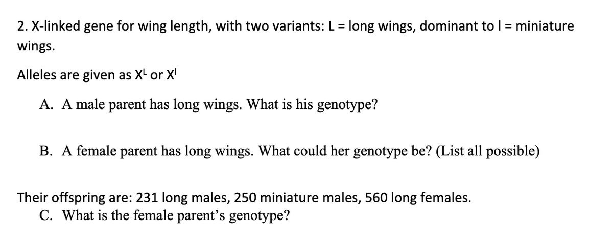 2. X-linked gene for wing length, with two variants: L = long wings, dominant to l = miniature
%3D
wings.
Alleles are given as X' or X'
A. A male parent has long wings. What is his genotype?
B. A female parent has long wings. What could her genotype be? (List all possible)
Their offspring are: 231 long males, 250 miniature males, 560 long females.
C. What is the female parent's genotype?
