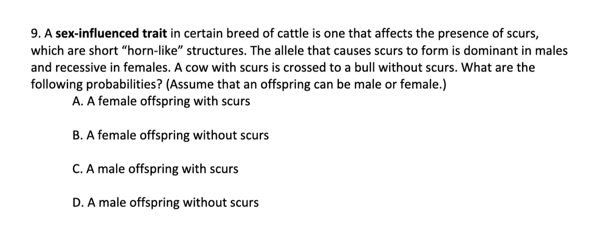 9. A sex-influenced trait in certain breed of cattle is one that affects the presence of scurs,
which are short "horn-like" structures. The allele that causes scurs to form is dominant in males
and recessive in females. A cow with scurs is crossed to a bull without scurs. What are the
following probabilities? (Assume that an offspring can be male or female.)
A. A female offspring with scurs
B. A female offspring without scurs
C. A male offspring with scurs
D. A male offspring without scurs
