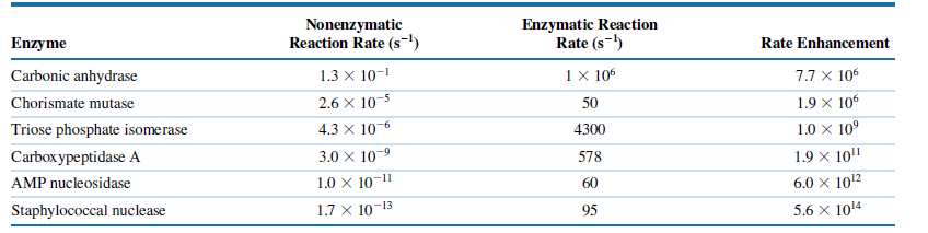 Nonenzymatic
Reaction Rate (s-)
Enzymatic Reaction
Rate (s-)
Enzyme
Rate Enhancement
Carbonic anhydrase
1.3 x 10-1
1x 106
7.7 x 106
Chorismate mutase
2.6 × 10-5
50
1.9 x 106
Triose phosphate isomerase
4.3 x 10-6
9-
4300
1.0 x 10°
Carboxypeptidase A
3.0 x 10-9
578
1.9 x 10"
AMP nucleosidase
1.0 x 10-1"
60
6.0 x 1012
Staphylococcal nuclease
1.7 × 10¬13
95
5.6 X 1014
