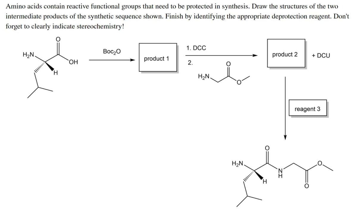 Amino acids contain reactive functional groups that need to be protected in synthesis. Draw the structures of the two
intermediate products of the synthetic sequence shown. Finish by identifying the appropriate deprotection reagent. Don't
forget to clearly indicate stereochemistry!
1. DCC
Boc20
H2N.
product 2
+ DCU
product 1
HO.
2.
H.
H2N.
reagent 3
H2N.
H.
