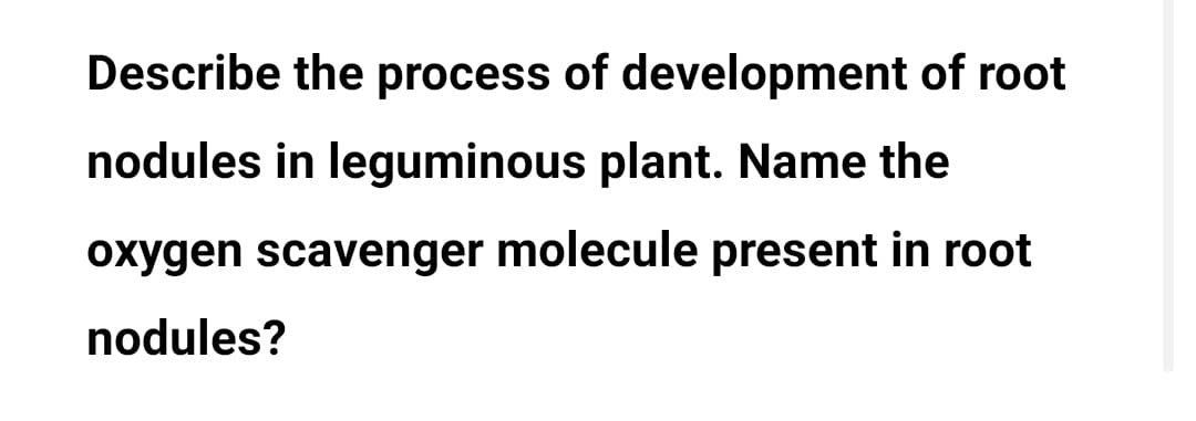 Describe the process of development of root
nodules in leguminous plant. Name the
oxygen scavenger molecule present in root
nodules?
