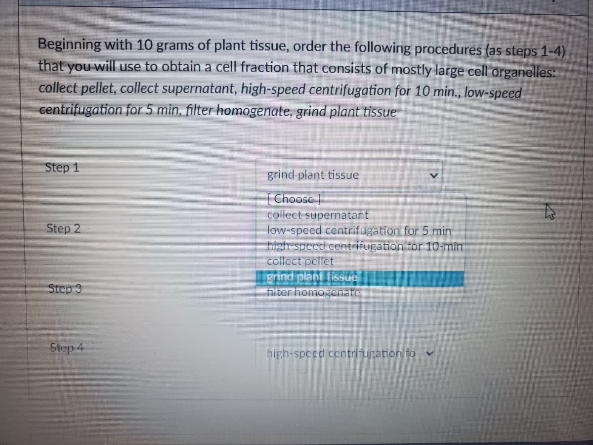 Beginning with 10 grams of plant tissue, order the following procedures (as steps 1-4)
that you will use to obtain a cell fraction that consists of mostly large cell organelles:
collect pellet, collect supernatant, high-speed centrifugation for 10 min., low-speed
centrifugation for 5 min, filter homogenate, grind plant tissue
Step 1
grind plant tissue
| Choose
collect supernatant
low-spccd centrifugation for 5 min
high-speed centrifugation for 10-min
collect pellet
grind plant tissue
filter homogenate
Step
Step 3
Step 4
high-speed contrifugation fo v
