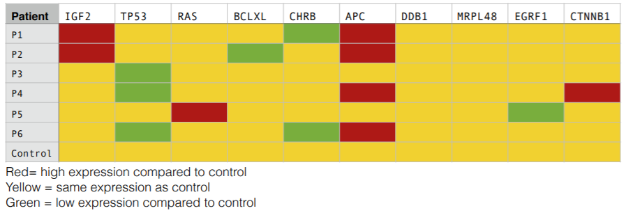 Patient IGF2
P1
P2
P3
P4
P5
P6
TP53
RAS
BCLXL CHRB
Control
Red= high expression compared to control
Yellow = same expression as control
Green = low expression compared to control
APC
DDB1
MRPL48 EGRF1
CTNNB1