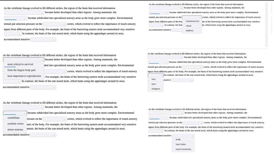 As the vertebrate lineage evolved to fill different niches, the region of the brain that received information
became better developed than other regions. Among mammals, the
- became subdivided into specialized sensory areas as the body grew more complex. Environmental
stimuli put selection pressure on the
- cortex, which evolved to reflect the importance of touch-sensory
inputs from different parts of the body. For example, the brain of the burrowing eastern mole accommodated very sensitive
In contrast, the brain of the star-nosed mole, which hunts using the appendages around its nose,
accommodated sensitive
As the vertebrate lineage evolved to fill different niches, the region of the brain that received information
became better developed than other regions. Among mammals, the
most critical to survival
ided into specialized sensory areas as the body grew more complex. Environmental
from the largest body part
cortex, which evolved to reflect the importance of touch-sensory
least important to reproduction. For example, the brain of the burrowing eastern mole accommodated very sensitive
In contrast, the brain of the star-nosed mole, which hunts using the appendages around its nose,
accommodated sensitive
As the vertebrate lineage evolved to fill different niches, the region of the brain that received information
became better developed than other regions. Among mammals, the
became subdivided into specialized sensory areas as the body grew more complex. Environmental
ressure on the
cortex, which evolved to reflect the importance of touch-sensory
cerebral cortex arts of the body. For example, the brain of the burrowing eastern mole accommodated very sensitive
motor neurons ontrast, the brain of the star-nosed mole, which hunts using the appendages around its nose,
accommodated sensitive
cerebellum
As the vertebrate lineage evolved to fill different niches, the region of the brain that received information
became better developed than other regions. Among mammals, the
stimuli put selection pressure on the
inputs from different parts of the bod
In contrast, the brai
accommodated sensitive
became subdivided into specialized sensory areas as the body grew more complex. Environmental
-cortex, which evolved to reflect the importance of touch-sensory
ain of the burrowing eastern mole accommodated very sensitive
le, which hunts using the appendages around its nose,
As the vertebrate lineage evolved to fill different niches, the region of the brain that received information
became better developed than other regions. Among mammals, the
ears.
became subdivided into specialized sensory areas as the body grew more complex. Environmental
stimuli put selection pressure on the
- cortex, which evolved to reflect the importance of touch-sensory
inputs from different parts of the body. For example, the brain of the burrowing eastern mole accommodated very sensitive
In contrast, the brain of the star-nosed mole, which hunts using the appendages around its nose,
ensitive
eyes.
somatosensory
visual
auditory
forepaws.
As the vertebrate lineage evolved to fill different niches, the region of the brain that received information
became better developed than other regions. Among mammals, the
became subdivided into specialized sensory areas as the body grew more complex. Environmental
stimuli put selection pressure on the
- cortex, which evolved to reflect the importance of touch-sensory
inputs from different parts of the body. For example, the brain of the burrowing eastern mole accommodated very sensitive
In contrast, the brain of the star-nosed mole, which hunts using the appendages around its nose,
accommodated sensitive
teeth.
hind limbs.
nasal extensions.