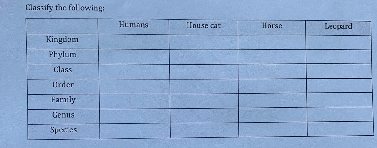 Classify the following:
Kingdom
Phylum
Class
Order
Family
Genus
Species
Humans
House cat
Horse
Leopard