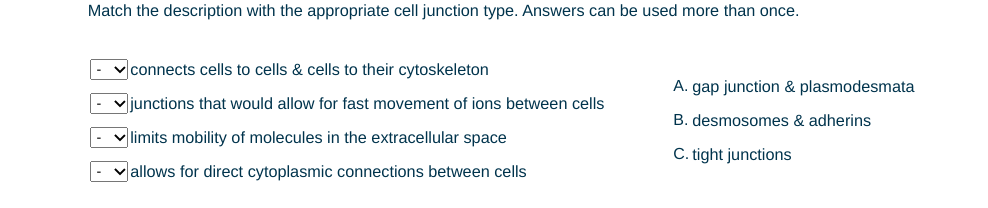 Match the description with the appropriate cell junction type. Answers can be used more than once.
|- v connects cells to cells & cells to their cytoskeleton
A. gap junction & plasmodesmata
vjunctions that would allow for fast movement of ions between cells
B. desmosomes & adherins
|- v limits mobility of molecules in the extracellular space
C. tight junctions
|- v allows for direct cytoplasmic connections between cells
