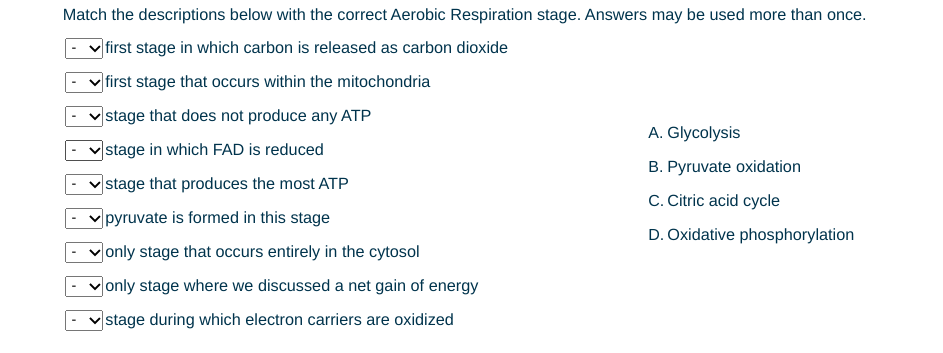 Match the descriptions below with the correct Aerobic Respiration stage. Answers may be used more than once.
first stage in which carbon is released as carbon dioxide
|first stage that occurs within the mitochondria
stage that does not produce any ATP
A. Glycolysis
|stage in which FAD is reduced
B. Pyruvate oxidation
|stage that produces the most ATP
C. Citric acid cycle
pyruvate is formed in this stage
D. Oxidative phosphorylation
|only stage that occurs entirely in the cytosol
Jonly stage where we discussed a net gain of energy
stage during which electron carriers are oxidized
