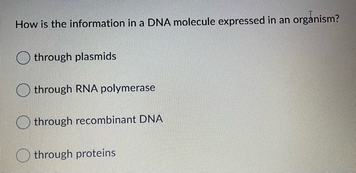 How is the information in a DNA molecule expressed in an organism?
through plasmids
through RNA polymerase
through recombinant DNA
through proteins
