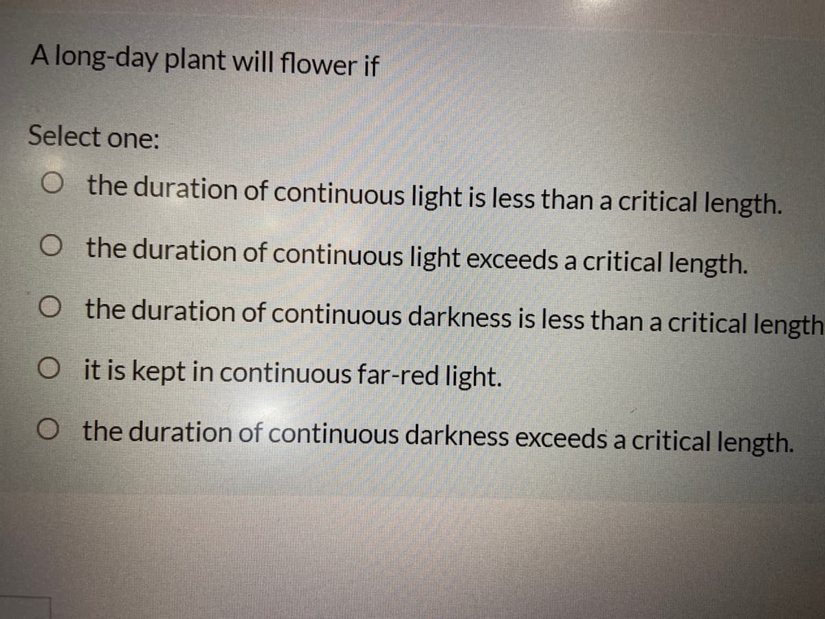 A long-day plant will flower if
Select one:
O the duration of continuous light is less than a critical length.
O the duration of continuous light exceeds a critical length.
O the duration of continuous darkness is less than a critical length
O it is kept in continuous far-red light.
O the duration of continuous darkness exceeds a critical length.
