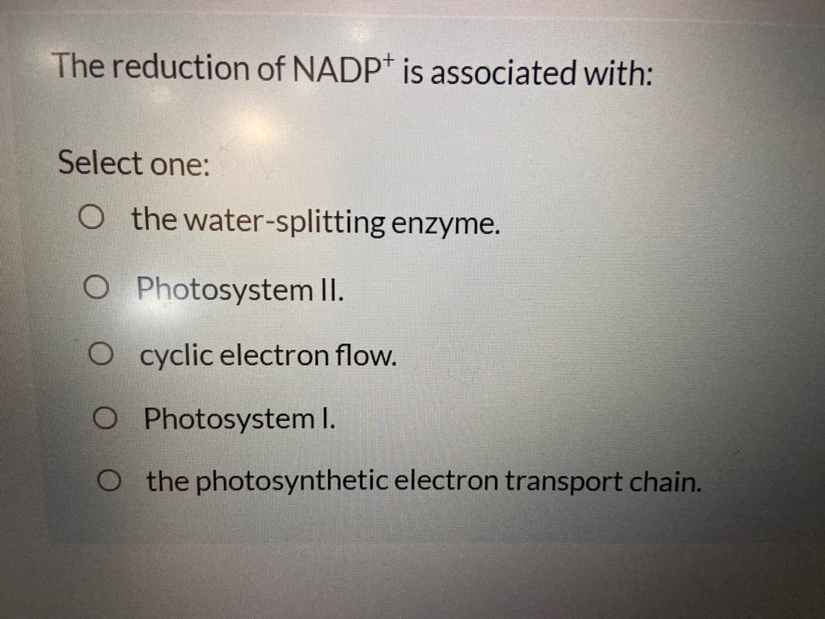 The reduction of NADP* is associated with:
Select one:
O the water-splitting enzyme.
O Photosystem II.
cyclic electron flow.
O Photosystem I.
Othe photosynthetic electron transport chain.
