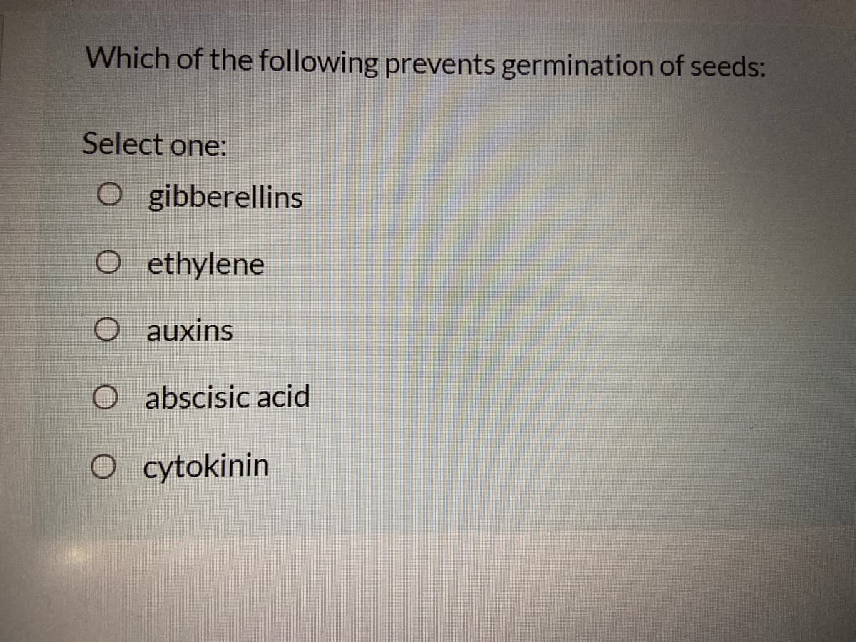 Which of the following prevents germination of seeds:
Select one:
O gibberellins
O ethylene
O auxins
O abscisic acid
O cytokinin
