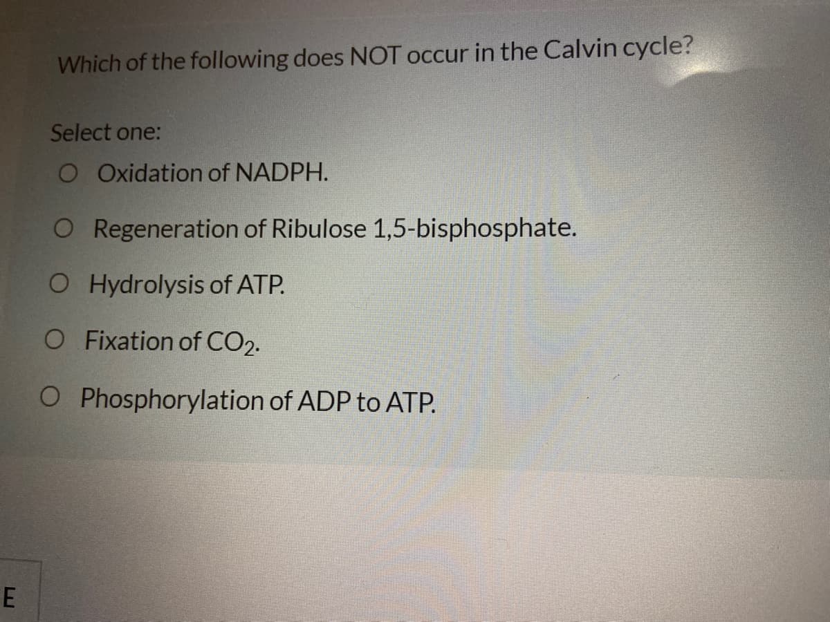 Which of the following does NOT occur in the Calvin cycle?
Select one:
O Oxidation of NADPH.
O Regeneration of Ribulose 1,5-bisphosphate.
O Hydrolysis of ATP.
O Fixation of CO2.
O Phosphorylation of ADP to ATP.

