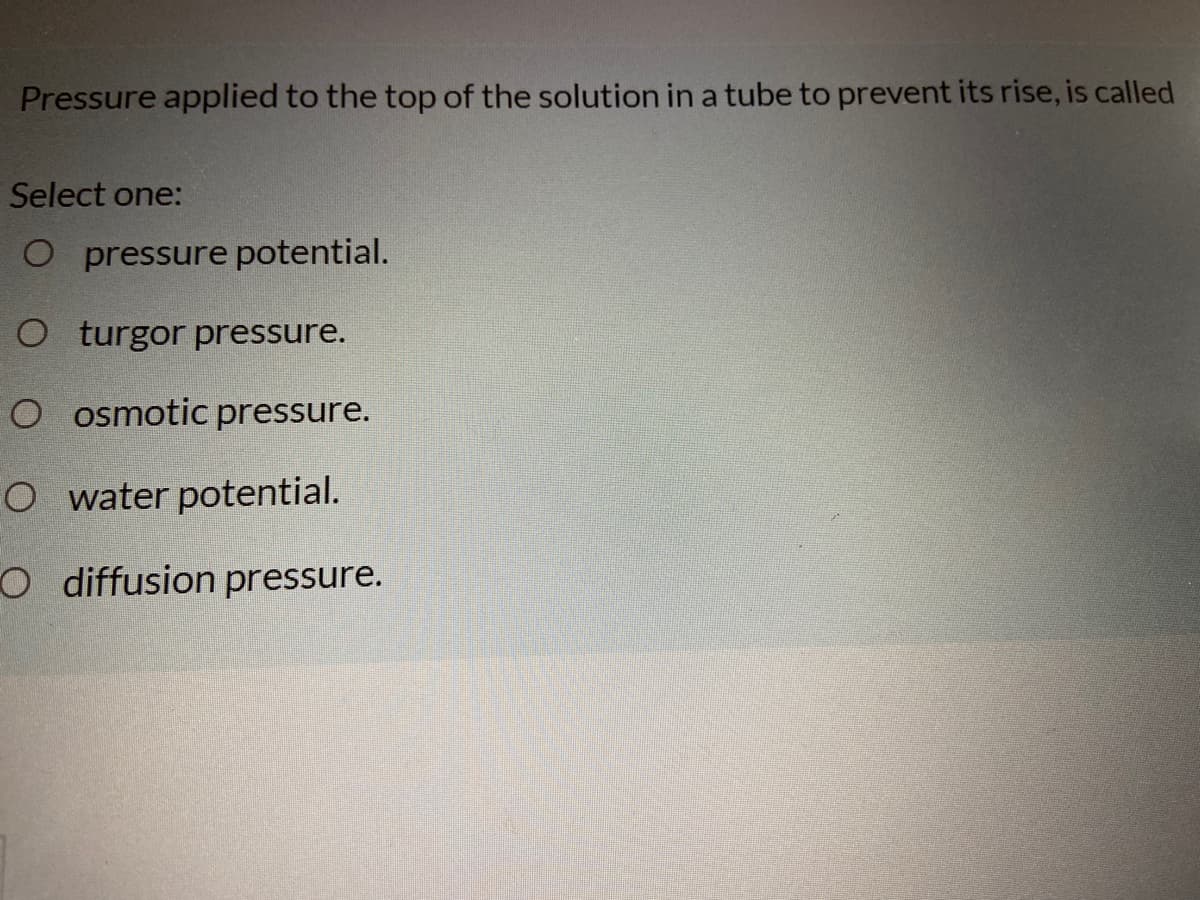 Pressure applied to the top of the solution in a tube to prevent its rise, is called
Select one:
O pressure potential.
O turgor pressure.
O osmotic pressure.
O water potential.
O diffusion pressure.
