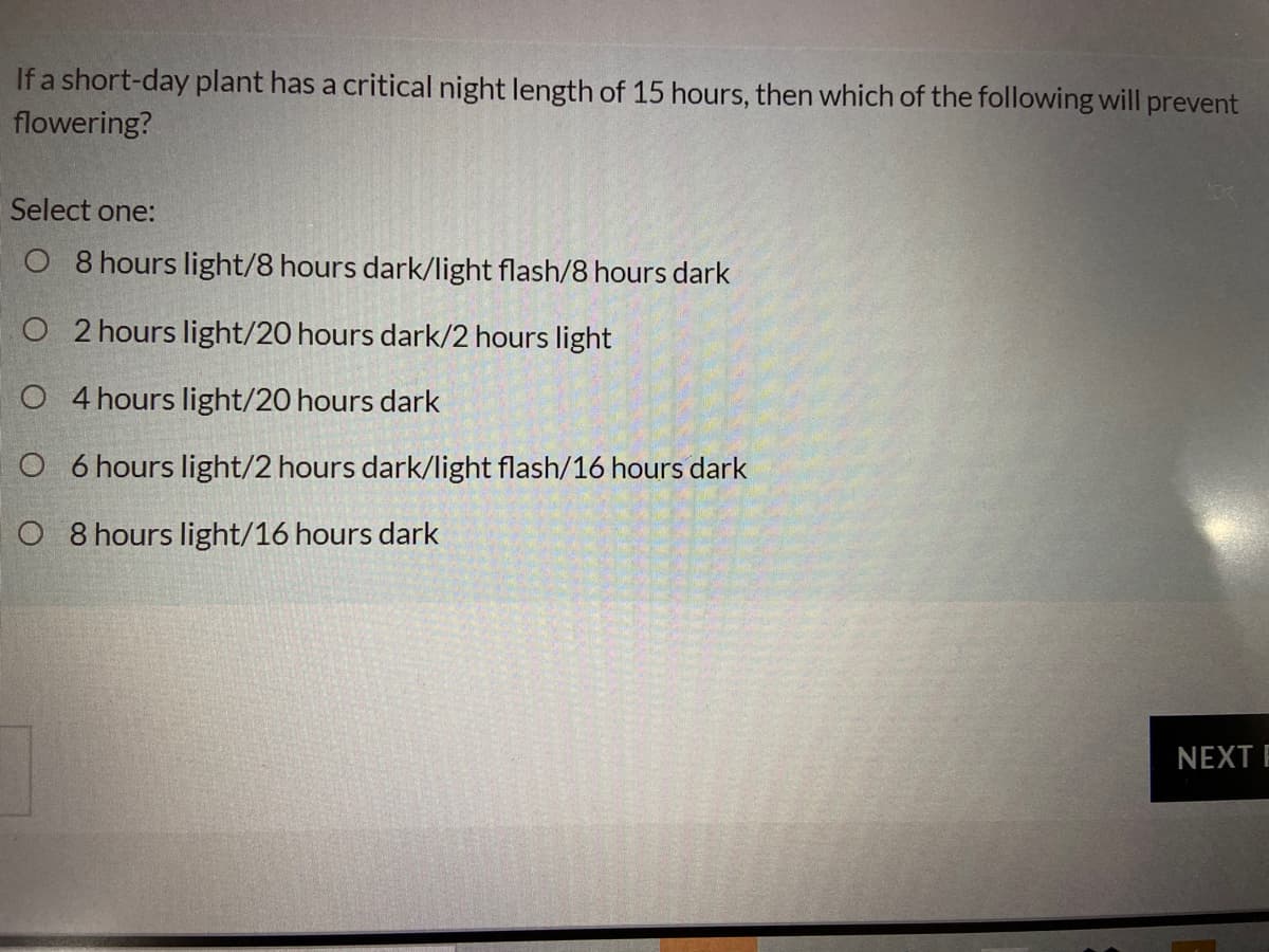 If a short-day plant has a critical night length of 15 hours, then which of the following will prevent
flowering?
Select one:
O 8 hours light/8 hours dark/light flash/8 hours dark
O 2 hours light/20 hours dark/2 hours light
O 4 hours light/20 hours dark
O 6 hours light/2 hours dark/light flash/16 hours dark
O 8 hours light/16 hours dark
NEXT E

