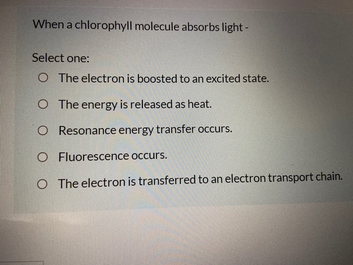 When a chlorophyll molecule absorbs light-
Select one:
O The electron is boosted to an excited state.
O The energy is released as heat.
O Resonance energy transfer occurs.
O Fluorescence occurs.
O The electron is transferred to an electron transport chain.
