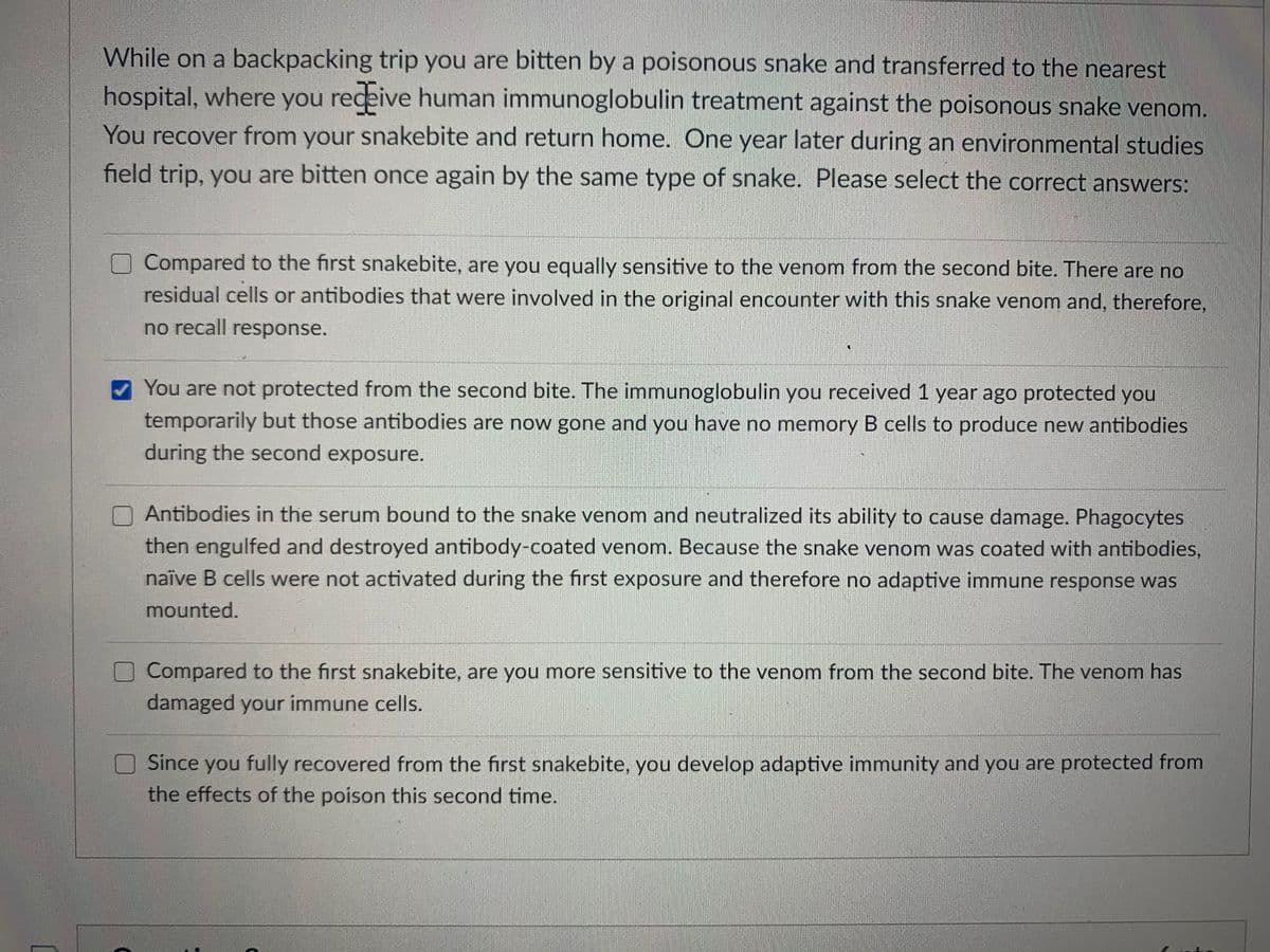 While on a backpacking trip you are bitten by a poisonous snake and transferred to the nearest
hospital, where you receive human immunoglobulin treatment against the poisonous snake venom.
You recover from your snakebite and return home. One year later during an environmental studies
field trip, you are bitten once again by the same type of snake. Please select the correct answers:
O Compared to the first snakebite, are you equally sensitive to the venom from the second bite. There are no
residual cells or antibodies that were involved in the original encounter with this snake venom and, therefore,
no recall response.
You are not protected from the second bite. The immunoglobulin you received 1 year ago protected you
temporarily but those antibodies are now gone and you have no memory B cells to produce new antibodies
during the second exposure.
Antibodies in the serum bound to the snake venom and neutralized its ability to cause damage. Phagocytes
then engulfed and destroyed antibody-coated venom. Because the snake venom was coated with antibodies,
naïve B cells were not activated during the first exposure and therefore no adaptive immune response was
mounted.
Compared to the first snakebite, are you more sensitive to the venom from the second bite. The venom has
damaged your immune cells.
Since you fully recovered from the first snakebite, you develop adaptive immunity and you are protected from
the effects of the poison this second time.
