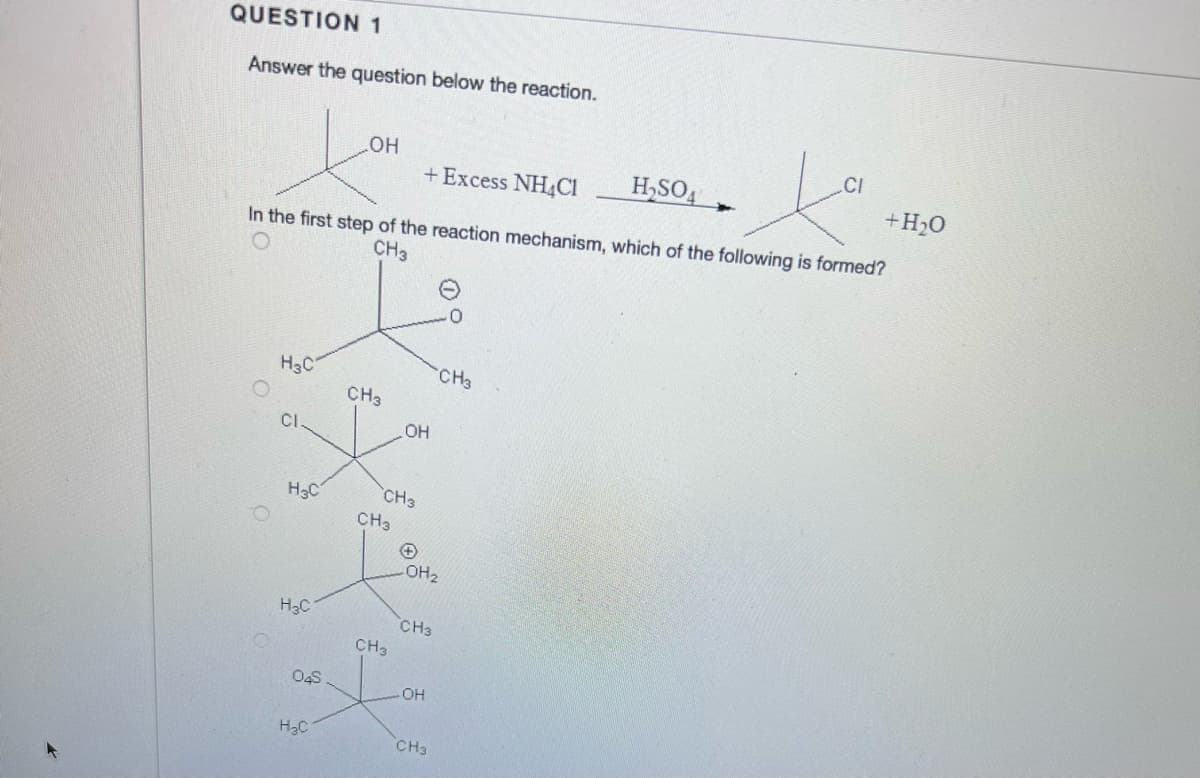 QUESTION 1
Answer the question below the reaction.
+ Excess NH4Cl
In the first step of the reaction mechanism, which of the following is formed?
CH3
O
H3C
CI
H3C
H3C
O S
OH
H₂C
CH3
CH3
CH3
OH
CH3
-OH2
CH3
OH
CH3
CH3
H₂SO4
+
CI
ка
+H2O