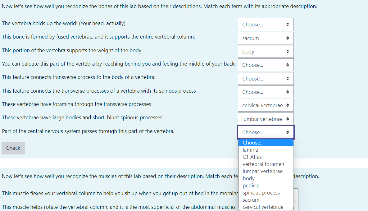 Now let's see how well you recognize the bones of this lab based on their descriptions. Match each term with its appropriate description.
The vertebra holds up the world! (Your head, actually)
Choose..
This bone is formed by fused vertebrae, and it supports the entire vertebral column.
sacrum
This portion of the vertebra supports the weight of the body.
body
You can palpate this part of the vertebra by reaching behind you and feeling the middle of your back.
Choose.
This feature connects transverse process to the body of a vertebra.
Choose.
This feature connects the transverse processes of a vertebra with its spinous process
Choose.
These vertebrae have foramina through the transverse processes
cervical vertebrae +
These vertebrae have large bodies and short, blunt spinous processes.
lumbar vertebrae +
Part of the central nervous system passes through this part of the vertebra.
Choose..
Choose.
Check
lamina
C1 Atlas
vertebral foramen
lumbar vertebrae
Now let's see how well you recognize the muscles of this lab based on their description. Match each te
description.
body
pedicle
This muscle flexes your vertebral column to help you sit up when you get up out of bed in the morning spinous process
sacrum
This muscle helps rotate the vertebral column, and it is the most superficial of the abdominal muscles
cervical vertebrae
