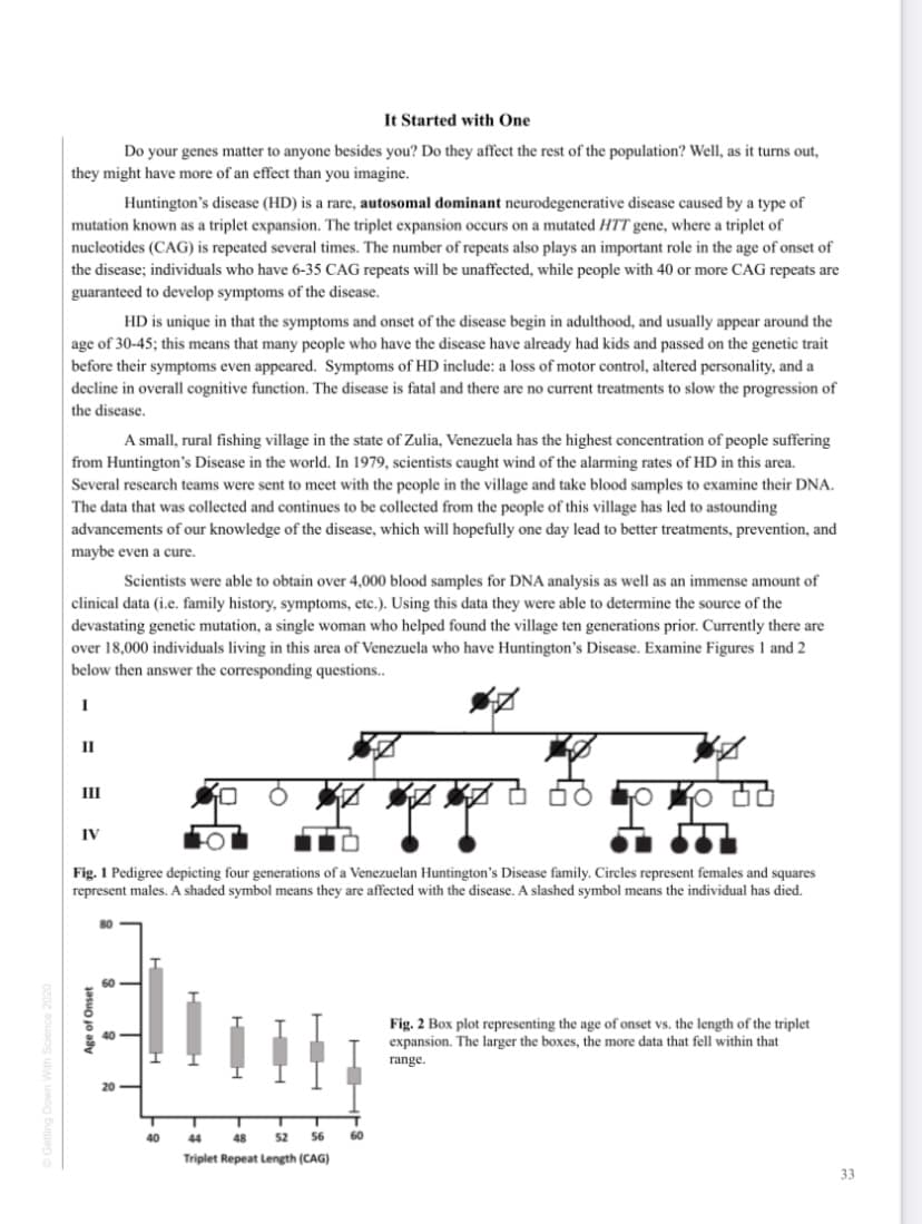 It Started with One
Do your genes matter to anyone besides you? Do they affect the rest of the population? Well, as it turns out,
they might have more of an effect than you imagine.
Huntington's disease (HD) is a rare, autosomal dominant neurodegenerative disease caused by a type of
mutation known as a triplet expansion. The triplet expansion occurs on a mutated HTT gene, where a triplet of
nucleotides (CAG) is repeated several times. The number of repeats also plays an important role in the age of onset of
the disease; individuals who have 6-35 CAG repeats will be unaffected, while people with 40 or more CAG repeats are
guaranteed to develop symptoms of the disease.
HD is unique in that the symptoms and onset of the disease begin in adulthood, and usually appear around the
age of 30-45; this means that many people who have the disease have already had kids and passed on the genetic trait
before their symptoms even appeared. Symptoms of HD include: a loss of motor control, altered personality, and a
decline in overall cognitive function. The disease is fatal and there are no current treatments to slow the progression of
the disease.
A small, rural fishing village in the state of Zulia, Venezuela has the highest concentration of people suffering
from Huntington's Disease in the world. In 1979, scientists caught wind of the alarming rates of HD in this area.
Several research teams were sent to meet with the people in the village and take blood samples to examine their DNA.
The data that was collected and continues to be collected from the people of this village has led to astounding
advancements of our knowledge of the disease, which will hopefully one day lead to better treatments, prevention, and
maybe even a cure.
Scientists were able to obtain over 4,000 blood samples for DNA analysis as well as an immense amount of
clinical data (i.e. family history, symptoms, etc.). Using this data they were able to determine the source of the
devastating genetic mutation, a single woman who helped found the village ten generations prior. Currently there are
over 18,000 individuals living in this area of Venezuela who have Huntington's Disease. Examine Figures 1 and 2
below then answer the corresponding questions..
II
II
IV
Fig. 1 Pedigree depicting four generations of a Venezuelan Huntington's Disease family. Circles represent females and squares
represent males. A shaded symbol means they are affected with the disease. A slashed symbol means the individual has died.
Fig. 2 Box plot representing the age of onset vs. the length of the triplet
expansion. The larger the boxes, the more data that fell within that
range.
40
44
48
52
56
60
Triplet Repeat Length (CAG)
33
Age of Onset
