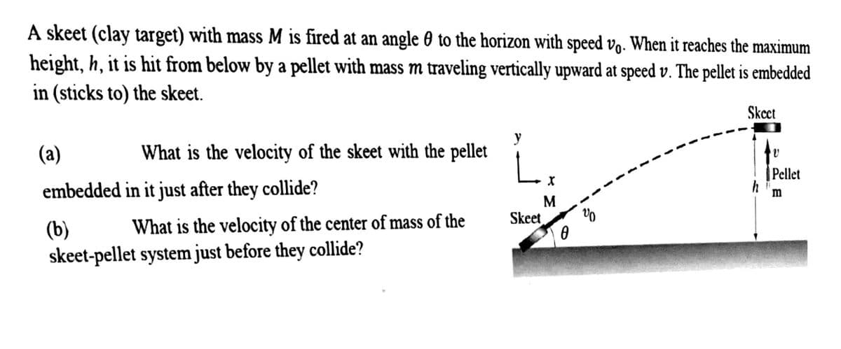 A skeet (clay target) with mass M is fired at an angle 0 to the horizon with speed vo. When it reaches the maximum
height, h, it is hit from below by a pellet with mass m traveling vertically upward at speed v. The pellet is embedded
in (sticks to) the skeet.
Skcct
(a)
y
What is the velocity of the skeet with the pellet
Pellet
embedded in it just after they collide?
m
M
Skeet
What is the velocity of the center of mass of the
(b)
skeet-pellet system just before they collide?
