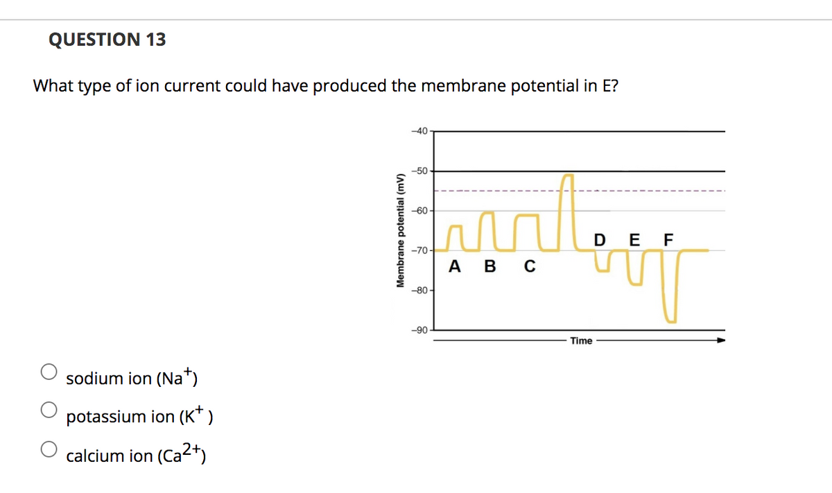 QUESTION 13
What type of ion current could have produced the membrane potential in E?
-40
-50
-60-
DE F
-70-
А в с
-80 -
-90
Time
sodium ion (Na*)
potassium ion (K* )
calcium ion (Ca2+)
Membrane potential (mV)
