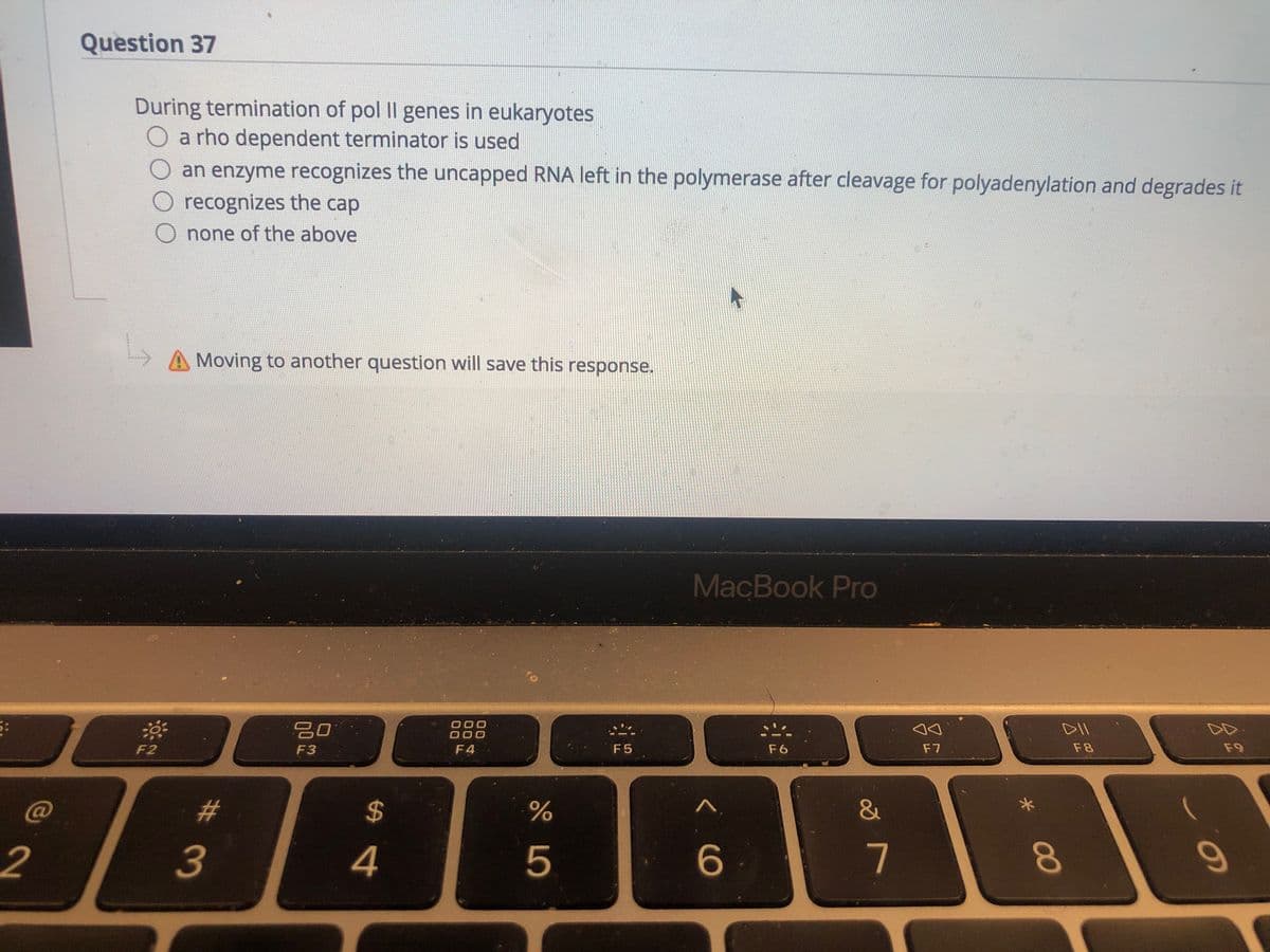 Question 37
During termination of pol IlI genes in eukaryotes
Oa rho dependent terminator is used
an enzyme recognizes the uncapped RNA left in the polymerase after cleavage for polyadenylation and degrades it
recognizes the cap
none of the above
Moving to another question will save this response.
MacBook Pro
こ。
DII
F2
F3
F4
F5
F6
F7
F8
F9
%23
%24
2
3
4
5
7
00

