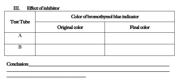 III. Effect of inhibitor
Color of bromothymol blue indicator
Test Tube
Original color
Final color
A
В
Conclusion:
