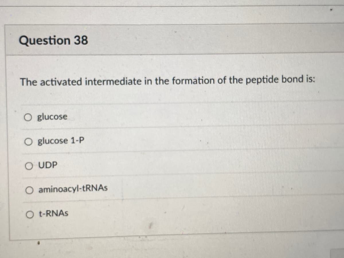 Question 38
The activated intermediate in the formation of the peptide bond is:
O glucose
O glucose 1-P
O UDP
O aminoacyl-tRNAs
O t-RNAS