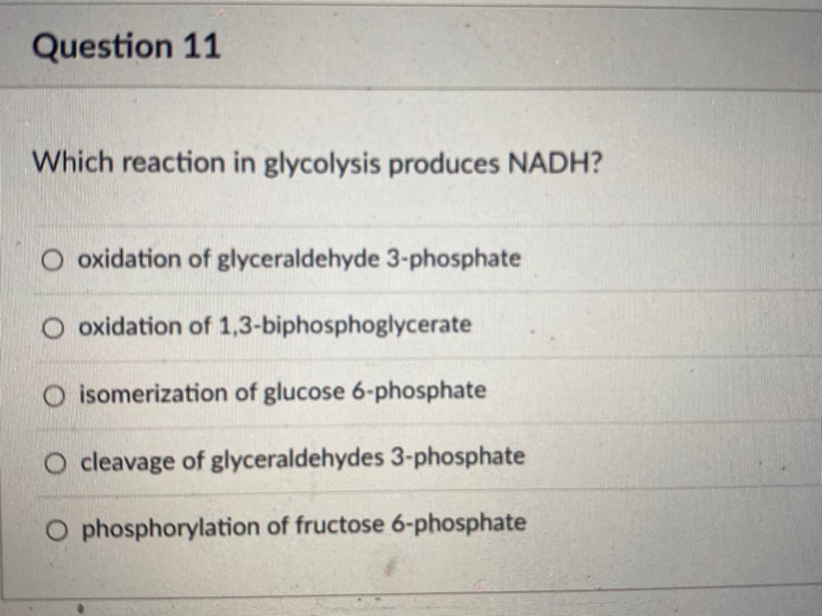 Question 11
Which reaction in glycolysis produces NADH?
O oxidation of glyceraldehyde 3-phosphate
O oxidation of 1,3-biphosphoglycerate
isomerization of glucose 6-phosphate
O cleavage of glyceraldehydes 3-phosphate
O phosphorylation of fructose 6-phosphate