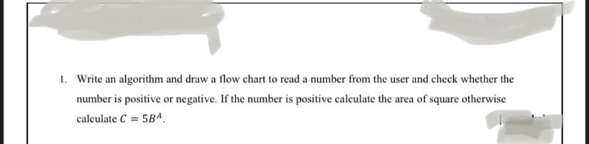1. Write an algorithm and draw a flow chart to read a number from the user and check whether the
number is positive or negative. If the number is positive calculate the area of square otherwise
calculate C= 5BA.