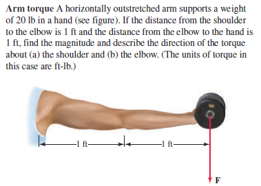Arm torque A horizontally outstretched arm supports a weight
of 20 Ib in a hand (see figure). If the distance from the shoulder
to the elbow is 1 ft and the distance from the elbow to the hand is
1 ft, find the magnitude and describe the direction of the torque
about (a) the shoulder and (b) the elbow. (The units of torque in
this case are ft-lb.)
-1 ft-
-1 ft-
F
