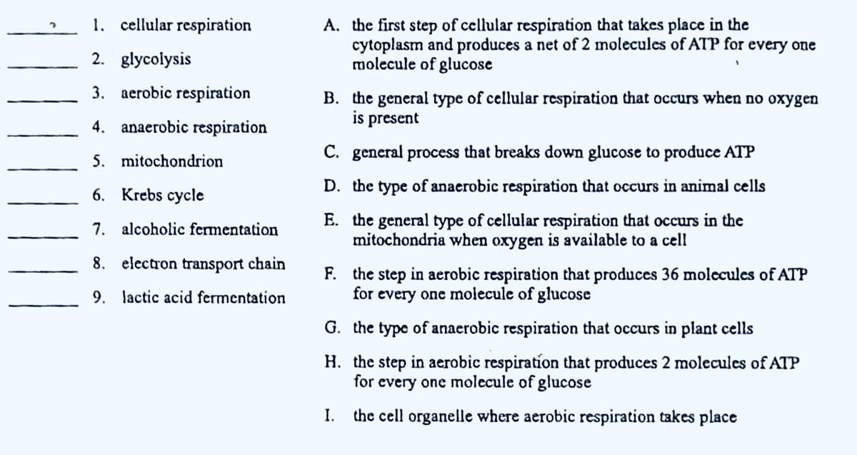 1. cellular respiration
A. the first step of cellular respiration that takes place in the
cytoplasm and produces a net of 2 molecules of ATP for every one
molecule of glucose
2. glycolysis
3. aerobic respiration
B. the general type of cellular respiration that occurs when no oxygen
is present
4. anaerobic respiration
5. mitochondrion
C. general process that breaks down glucose to produce ATP
6. Krebs cycle
D. the type of anaerobic respiration that occurs in animal cells
E. the general type of cellular respiration that occurs in the
mitochondria when oxygen is available to a cell
7. alcoholic fermentation
8. electron transport chain
F. the step in aerobic respiration that produces 36 molecules of ATP
for every one molecule of glucose
9. lactic acid fermentation
G. the type of anaerobic respiration that occurs in plant cells
H. the step in aerobic respiration that produces 2 molecules of ATP
for every one molecule of glucose
I.
the cell organelle where aerobic respiration takes place
