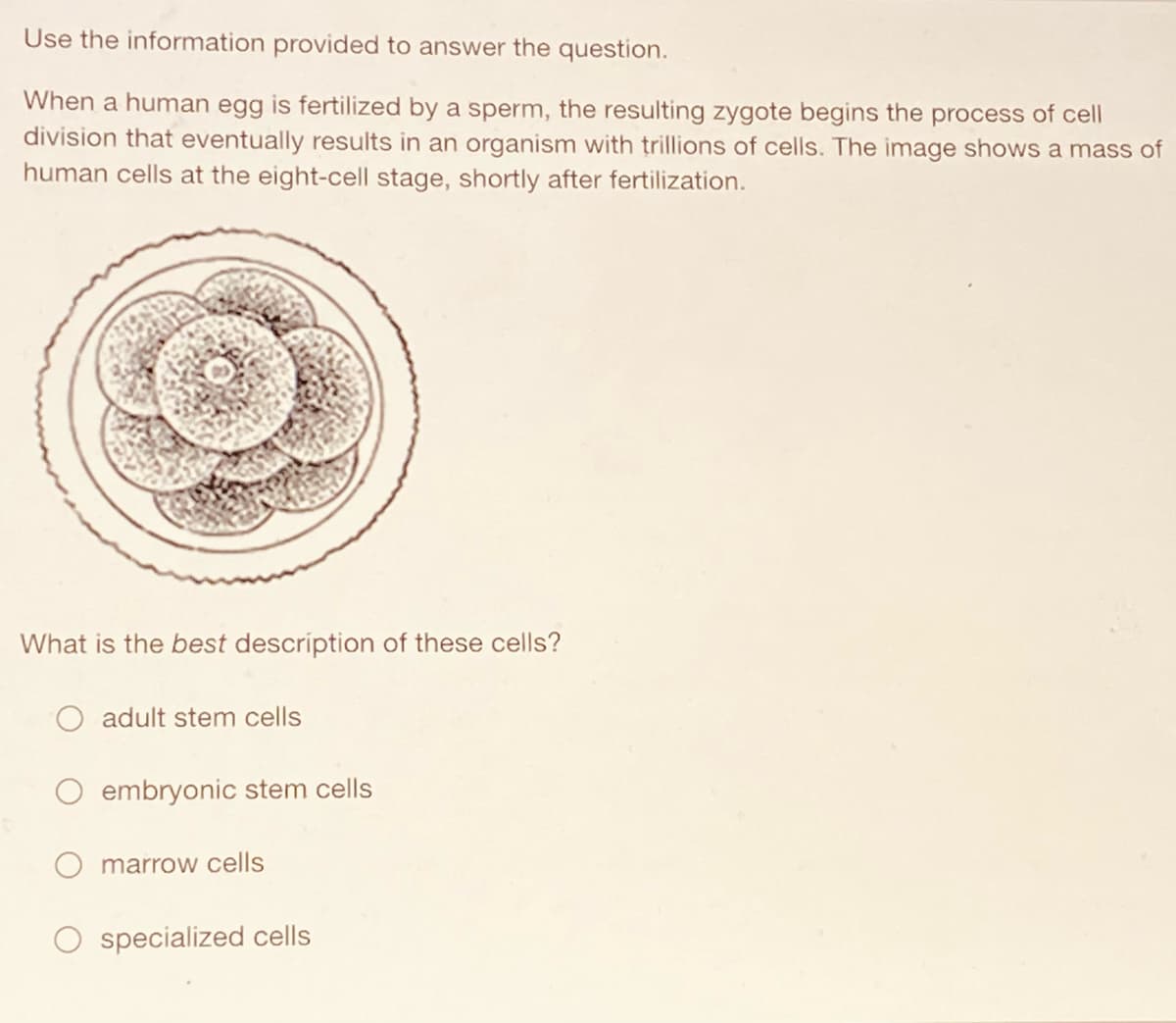 Use the information provided to answer the question.
When a human egg is fertilized by a sperm, the resulting zygote begins the process of cell
division that eventually results in an organism with trillions of cells. The image shows a mass of
human cells at the eight-cell stage, shortly after fertilization.
What is the best description of these cells?
adult stem cells
O embryonic stem cells
marrow cells
specialized cells
