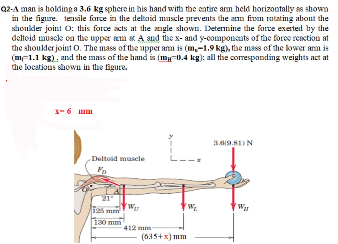Q2-A man is holding a 3.6-kg sphere in his hand with the entire arm held horizontally as shown
in the figure. tensile force in the deltoid muscle prevents the arm from rotating about the
shoulder joint O; this force acts at the angle shown. Determine the force exerted by the
deltoid muscle on the upper arm at A and the x- and y-components of the force reaction at
the shoulder joint O. The mass of the upper arm is (m,=1.9 kg), the mass of the lower arm is
(m-1.1 kg) , and the mass of the hand is (my=0.4 kg); all the corresponding weights act at
the locations shown in the figure.
X= 6 mm
3.6(9.81) N
Deltoid muscle
FD
21°
'Wy
125 mm
WL
WH
130 mm
412 mm
(635+x) mm
