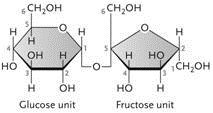 CH,OH
CH,OH
.O.
H.
H
H.
он
но
но
CH,OH
H
2.
он
но
H
Glucose unit
Fructose unit
