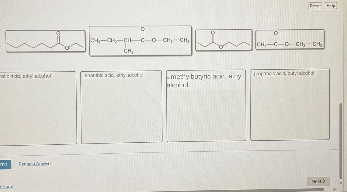 cetic acid, ethyl alcohol
mit
dback
Request Answer
CH3-CH₂-CH- -C-0-CH₂-CH3
I
CH3
enanthic acid, ethyl alcohol
methylbutyric acid, ethyl
alcohol
CH3-
Reset Help
_0_0
-O—CH2CH3
propanoic acid, butyl alcohol
Next >
