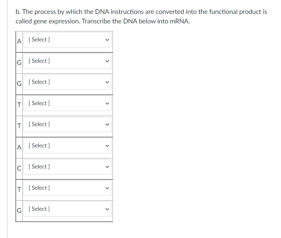 b. The process by which the DNA instructions are converted into the functional product is
called gene expression. Transcribe the DNA below into mRNA.
A [Select ]
G [ Select ]
G
[ Select ]
T
[ Select ]
[ Select ]
A [Select ]
c [ Select ]
T [ Select ]
G [ Select ]
>
>
>
>
>
>
>
>
>
