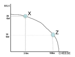 MILK
20
Gal
10
Gal
X
3 lbs
Z
10lbs CHEESE