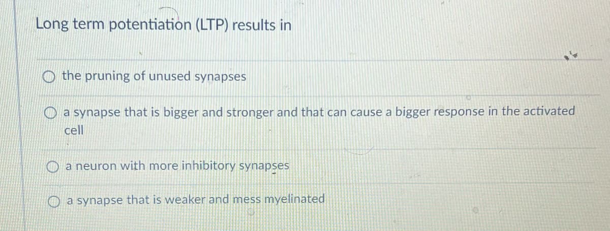 Long term potentiation (LTP) results in
the pruning of unused synapses
a synapse that is bigger and stronger and that can cause a bigger response in the activated
cell
a neuron with more inhibitory synapses
a synapse that is weaker and mess myelinated