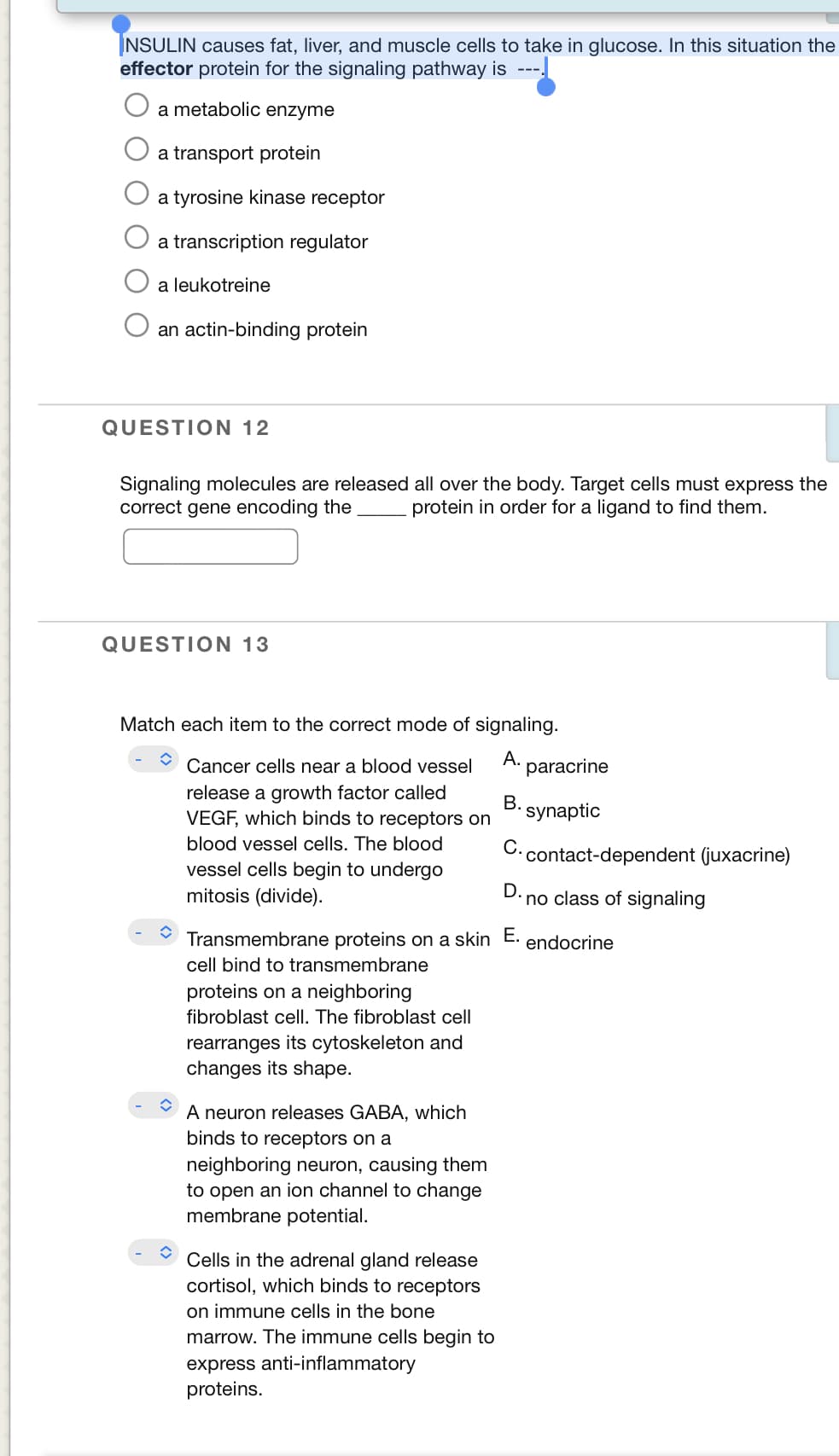 NSULIN causes fat, liver, and muscle cells to take in glucose. In this situation the
effector protein for the signaling pathway is ---,
a metabolic enzyme
a transport protein
a tyrosine kinase receptor
a transcription regulator
a leukotreine
an actin-binding protein
QUESTION 12
Signaling molecules are released all over the body. Target cells must express the
correct gene encoding the
protein in order for a ligand to find them.
QUESTION 13
Match each item to the correct mode of signaling.
Cancer cells near a blood vessel
А.
paracrine
release a growth factor called
VEGF, which binds to receptors on
B. synaptic
blood vessel cells. The blood
С.
contact-dependent (juxacrine)
vessel cells begin to undergo
mitosis (divide).
D.
no class of signaling
Transmembrane proteins on a skin E.
endocrine
cell bind to transmembrane
proteins on a neighboring
fibroblast cell. The fibroblast cell
rearranges its cytoskeleton and
changes its shape.
A neuron releases GABA, which
binds to receptors on a
neighboring neuron, causing them
to open an ion channel to change
membrane potential.
Cells in the adrenal gland release
cortisol, which binds to receptors
on immune cells in the bone
marrow. The immune cells begin to
express anti-inflammatory
proteins.
