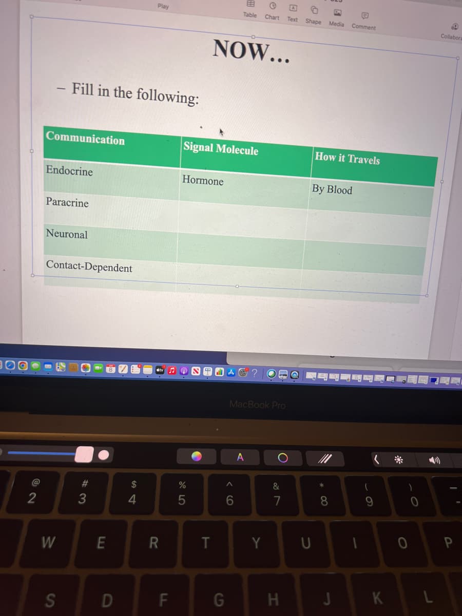 2
Communication
Endocrine
Paracrine
Fill in the following:
Neuronal
Contact-Dependent
M
W
S
#3
E
8
D
$
Play
4
R
FL
♫
Signal Molecule
Hormone
%
5
NOW...
T
&
Table Chart
A
6
G
MacBook Pro
A
Y
BO
O
@
Text Shape Media Comment
&
7
H
How it Travels
By Blood
U
*
8
J
1
(
9
K
)
0
0
L
69
Collabora
P