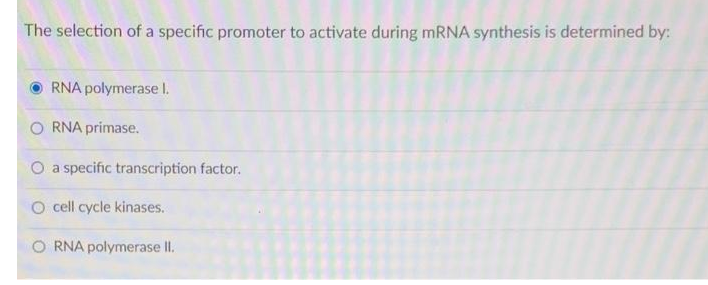 The selection of a specific promoter to activate during MRNA synthesis is determined by:
RNA polymerase I.
RNA primase.
a specific transcription factor.
O cell cycle kinases.
O RNA polymerase II.
