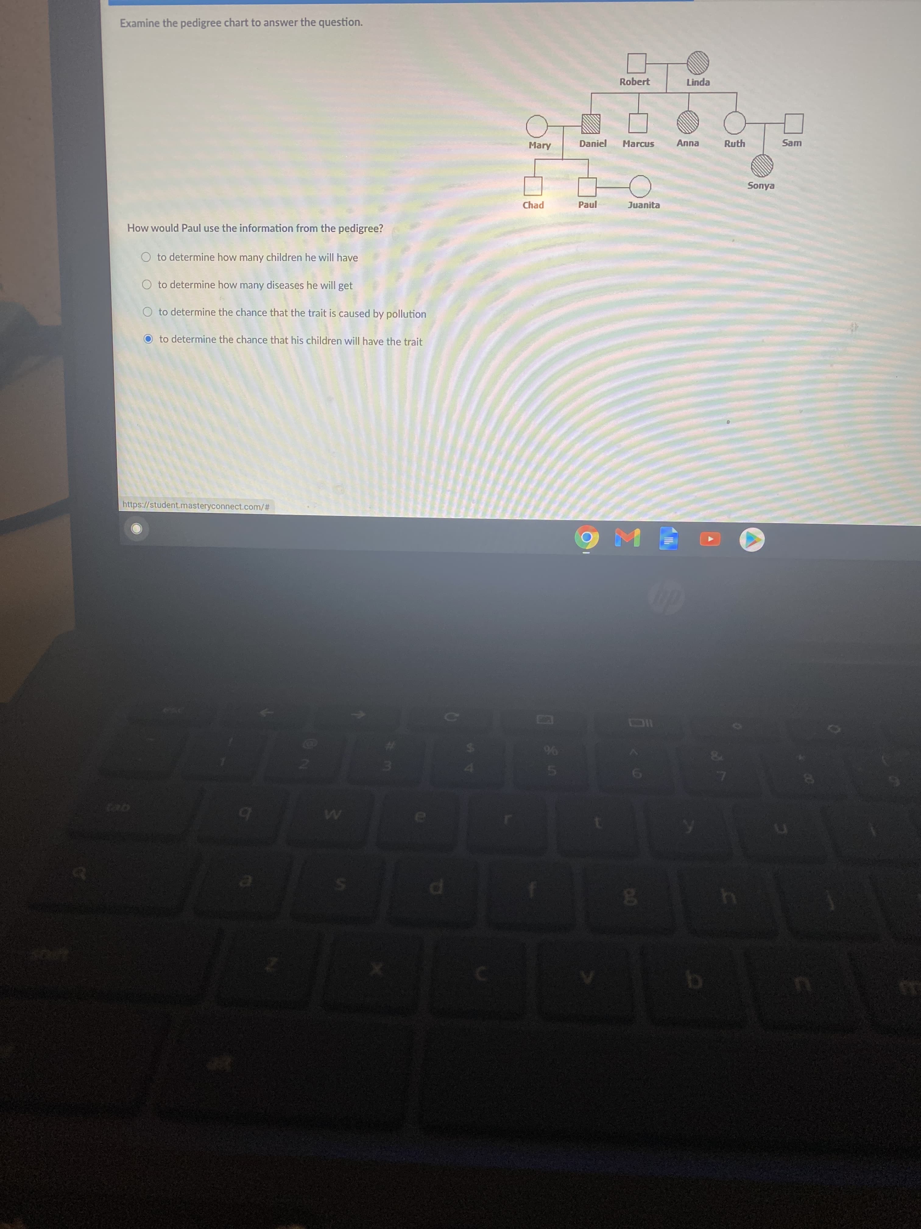 Robert
Linda
Mary
Daniel
Marcus
Anna
Ruth
Sam
Sonya
Chad
Paul
Juanita
How would Paul use the information from the pedigree?
O to determine how many children he will have
O to determine how many diseases he will get
O to determine the chance that the trait is caused by pollution
to determine the chance that his children will have the trait
