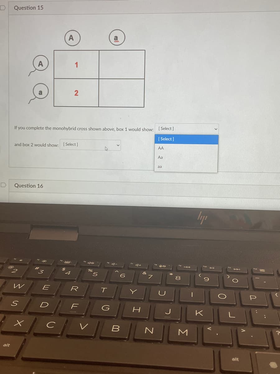 Question 15
a
1
If you complete the monohybrid cross shown above, box 1 would show: [Select]
[ Select]
and box 2 would show: [Select
AA
Aa
aa
Question 16
%24
4
E
R
G
K
alt
alt
00
ト
LL
