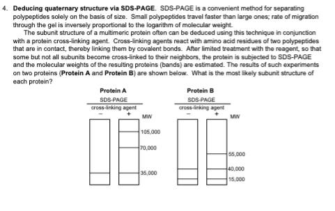 4. Deducing quaternary structure via SDS-PAGE. SDS-PAGE is a convenient method for separating
polypeptides solely on the basis of size. Small polypeptides travel faster than large ones; rate of migration
through the gel is inversely proportional to the logarithm of molecular weight.
The subunit structure of a multimeric protein often can be deduced using this technique in conjunction
with a protein cross-linking agent. Cross-linking agents react with amino acid residues of two polypeptides
that are in contact, thereby linking them by covalent bonds. After limited treatment with the reagent, so that
some but not all subunits become cross-linked to their neighbors, the protein is subjected to SDS-PAGE
and the molecular weights of the resulting proteins (bands) are estimated. The results of such experiments
on two proteins (Protein A and Protein B) are shown below. What is the most likely subunit structure of
each protein?
Protein A
SDS-PAGE
cross-linking agent
MW
105,000
70,000
35,000
Protein B
SDS-PAGE
cross-linking agent
MW
55,000
40,000
15,000