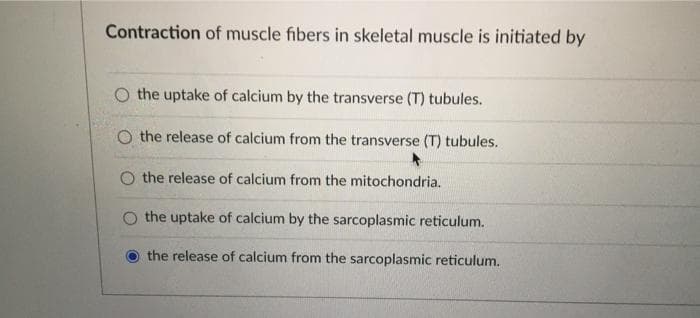 Contraction of muscle fibers in skeletal muscle is initiated by
the uptake of calcium by the transverse (T) tubules.
O the release of calcium from the transverse (T) tubules.
O the release of calcium from the mitochondria.
the uptake of calcium by the sarcoplasmic reticulum.
the release of calcium from the sarcoplasmic reticulum.
